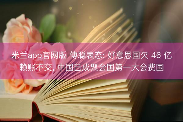 米兰app官网版 傅聪表态: 好意思国欠 46 亿赖账不交,